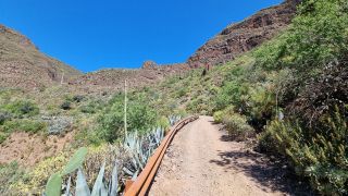 2023-04-GranCan-Guayadeque-039.jpg